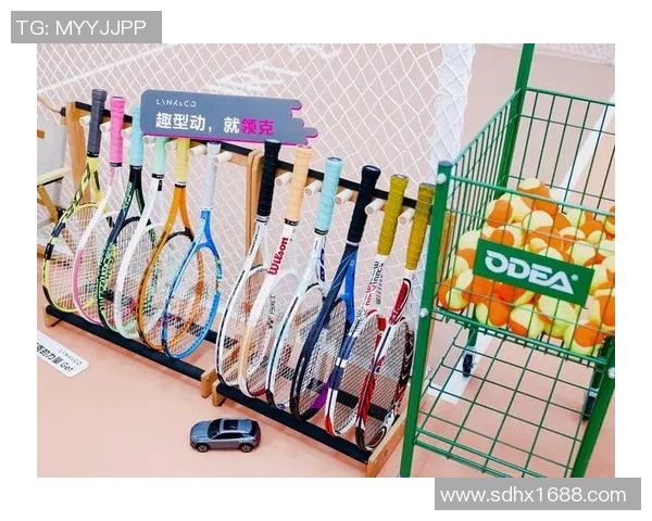 网球新手攻略:技术入门指南