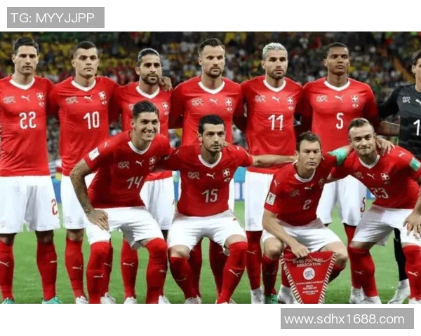 塞尔维亚足球明星阵容解析及其在国际赛场上的表现与成就